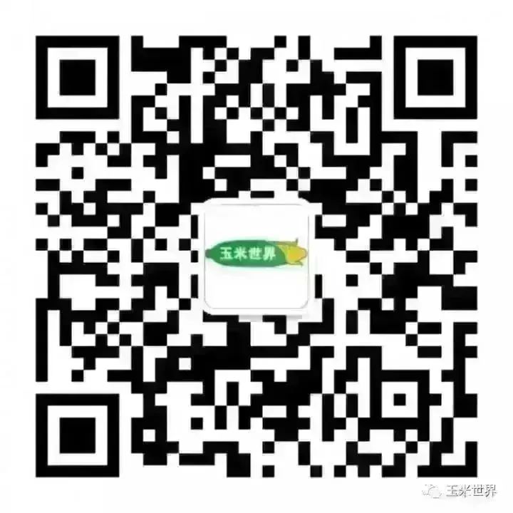 南北港口玉米價格暫穩,短期港存供給支撐價格